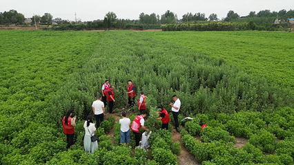 南陽師范學院生命科學學院黨員博士團服務社會紀實 生物技術推廣服務